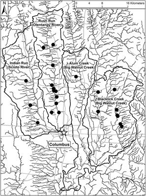 Ecological Impacts of Altered Stream Hydrogeomorphic Characteristics Extend Beyond the Channel Boundary: Evidence From Urban Streams of Columbus, OH, United States